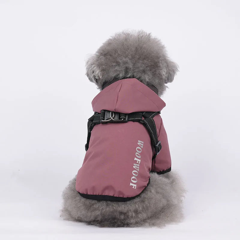 Belinana dog rain coat waterproof in mauve with hood and harness on small fluffy dog