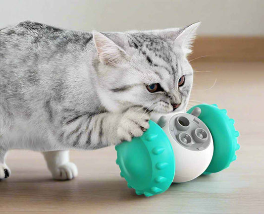 Belinana Interactive Pet Slow Feeder Toy for Dogs & Cats