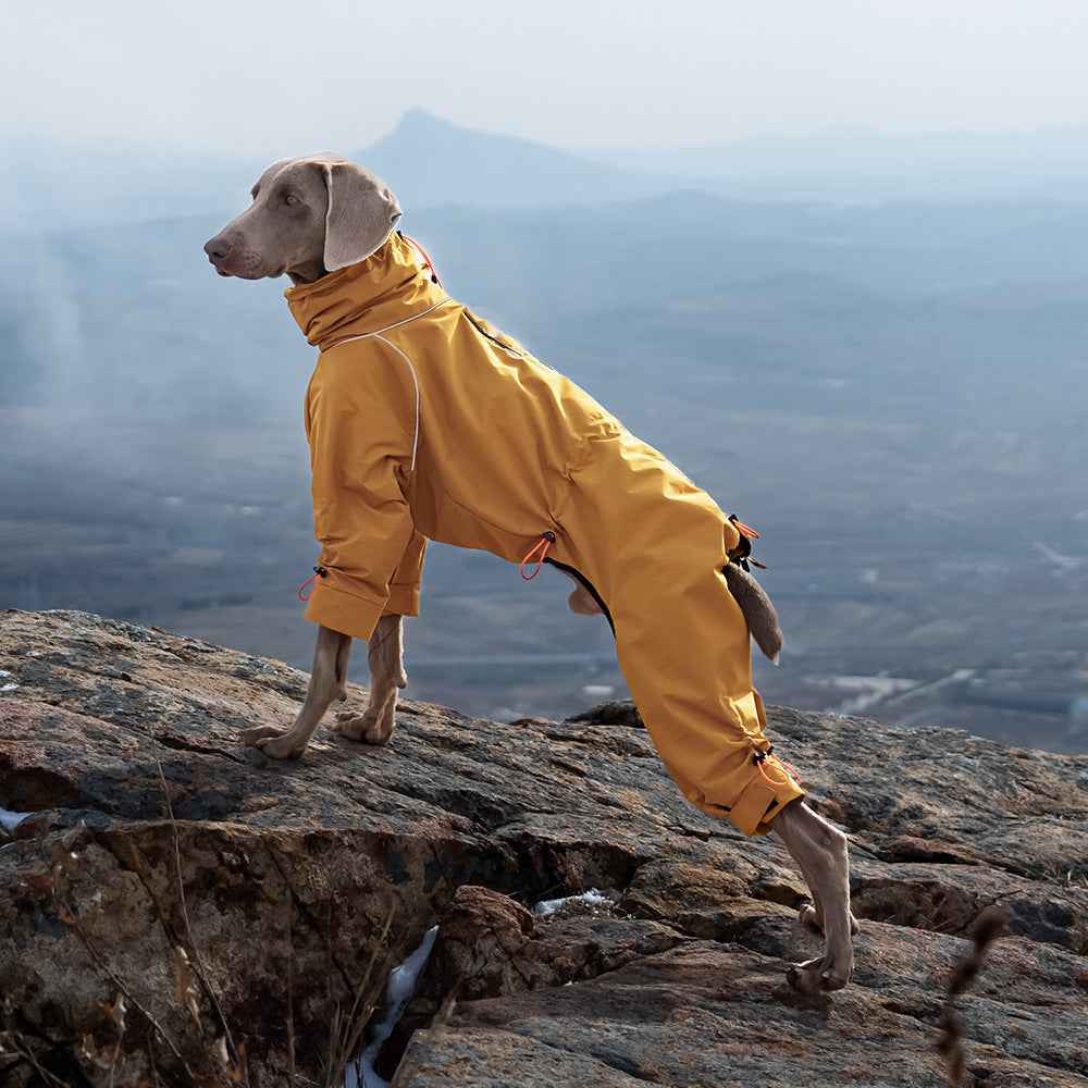 Belinana Waterproof Dog Jumpsuit for Large Dogs