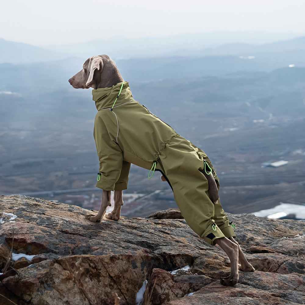 Belinana Waterproof Dog Jumpsuit for Large Dogs