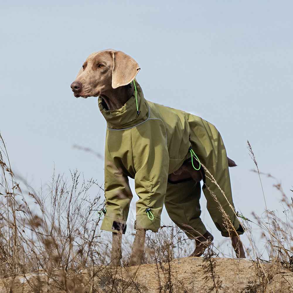 Belinana Waterproof Dog Jumpsuit for Large Dogs