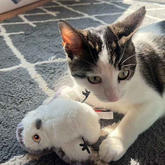 Belinana Automatic Chirp Flapping Bird Cat Toy - Interactive