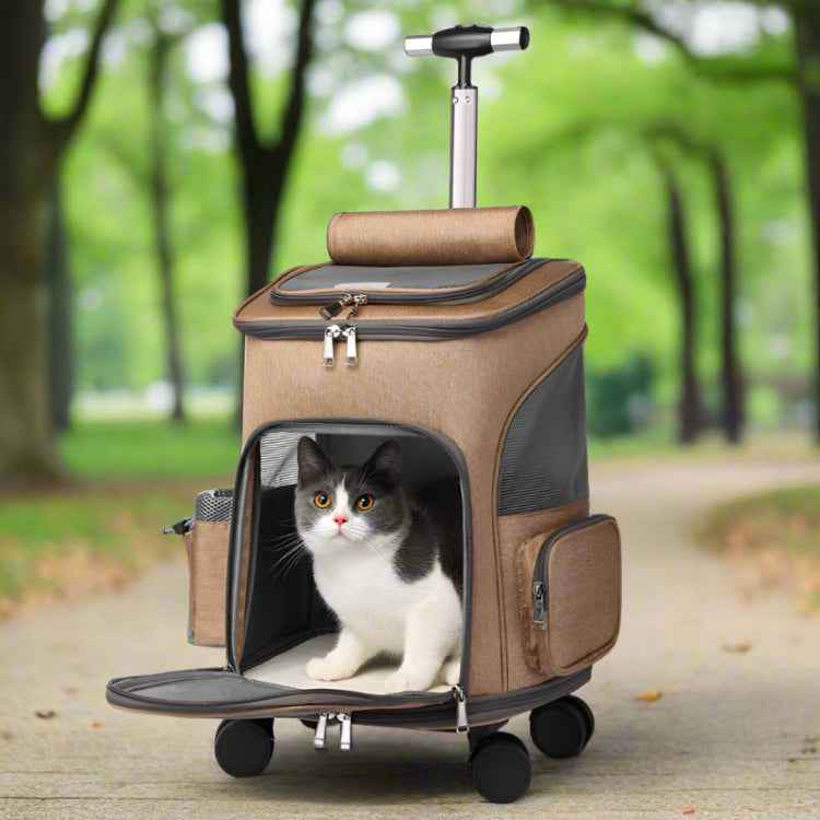 Belinana Portable Pet Backpack with Wheels - Travel Easy