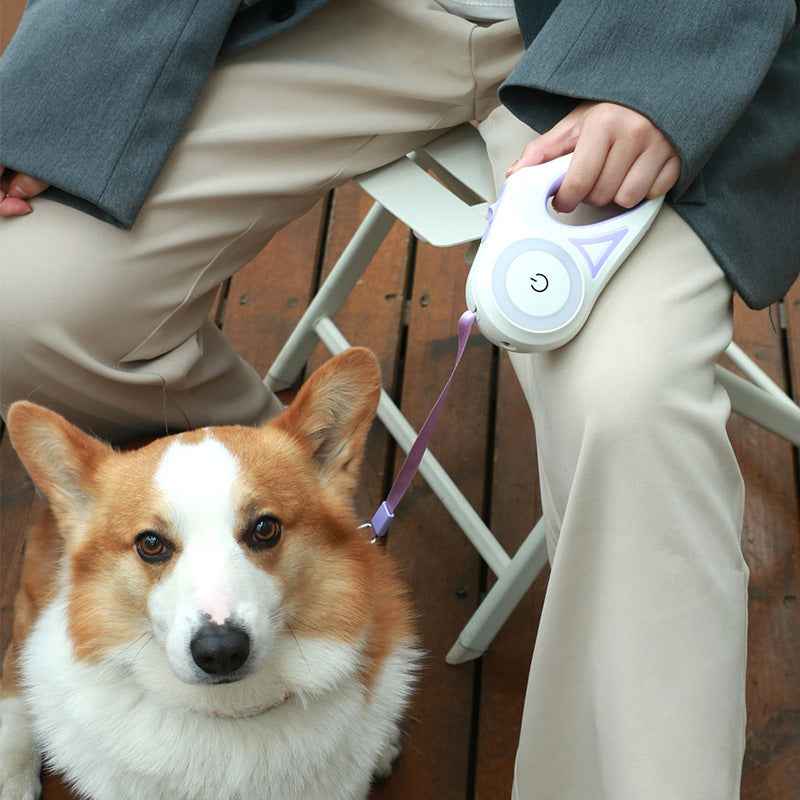 Belinana Retractable Dog Leash with Light for Night Walks
