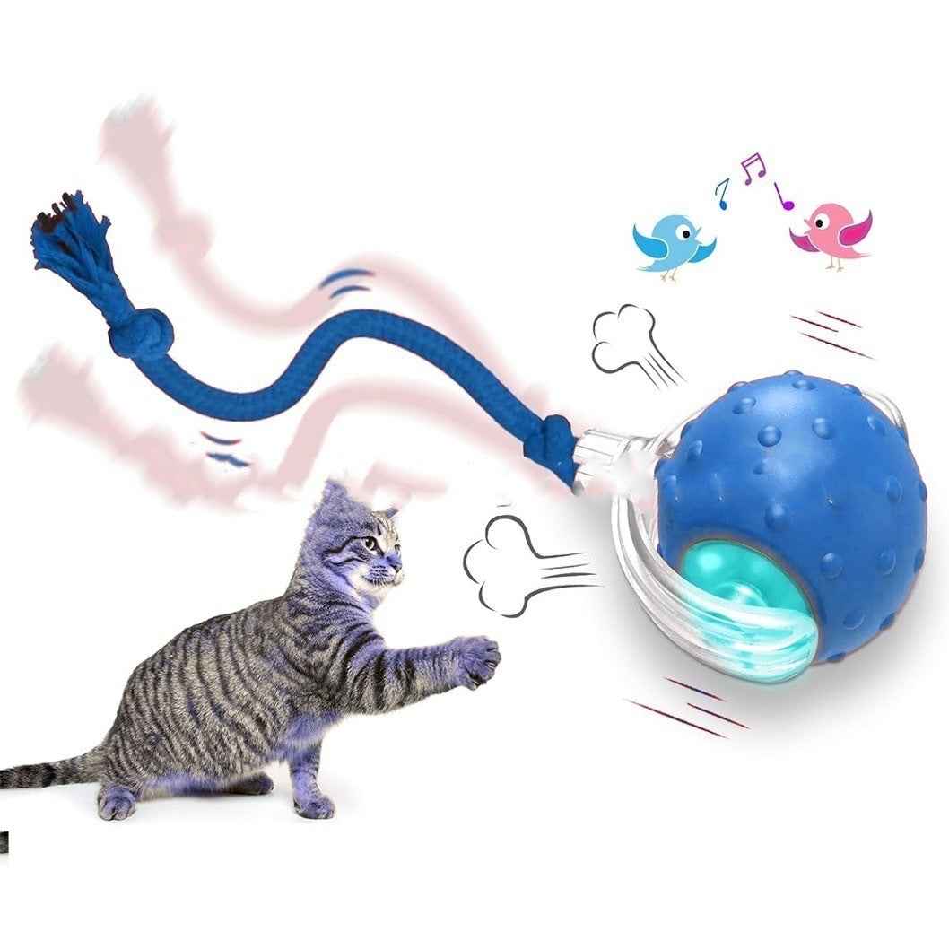 Belinana Self-Rolling Cat Ball for Indoor Cats Toy