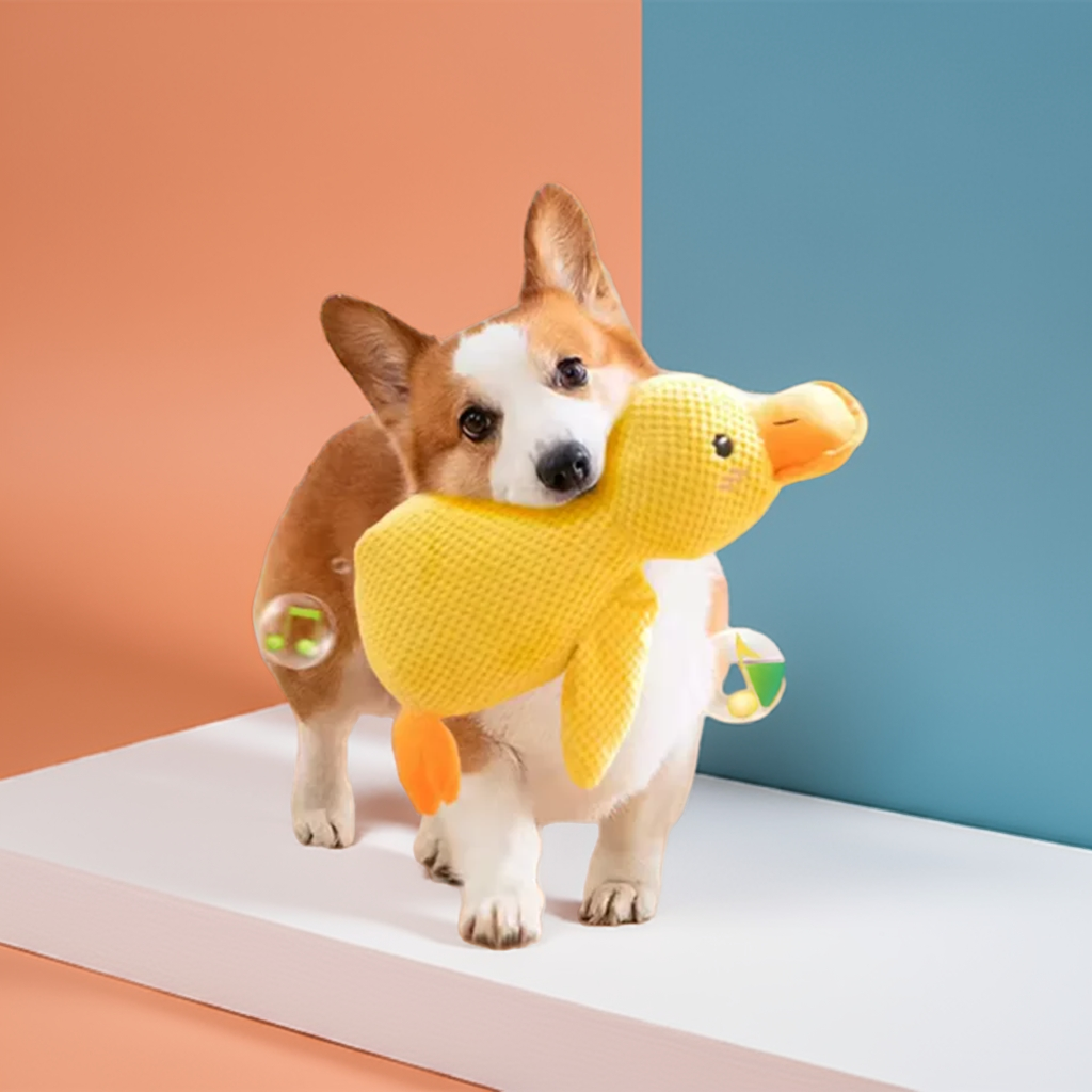 Dog holding Belinana squeaky duck chew toy for puppies in mouth on colorful background
