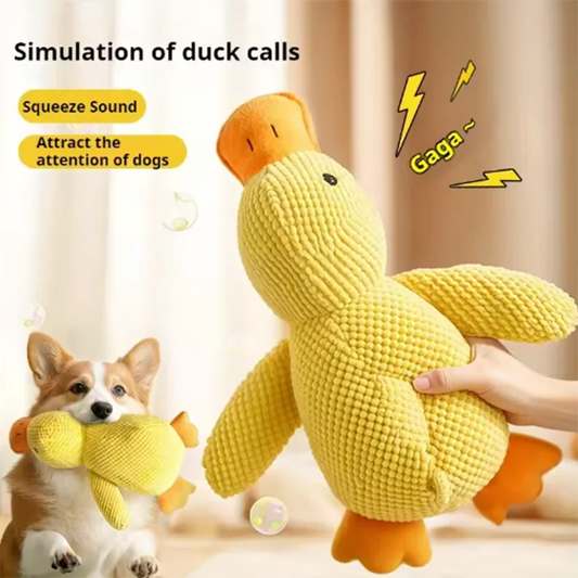 Belinana squeaky duck chew toy for puppies held by hand and puppy playing with it indoors