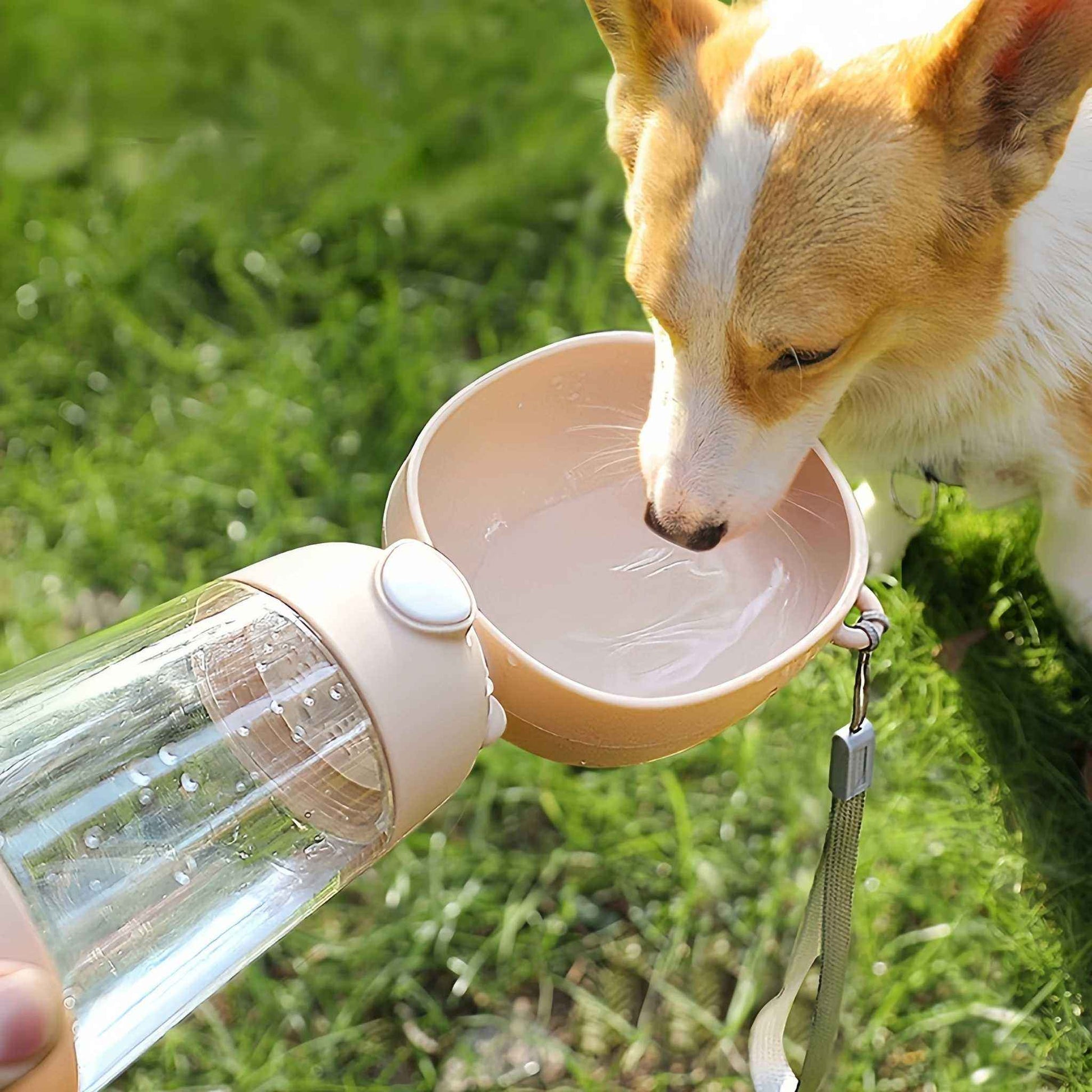 Belinana Portable Pet Feeding Bottle for Walks with Water-Grain Separation
