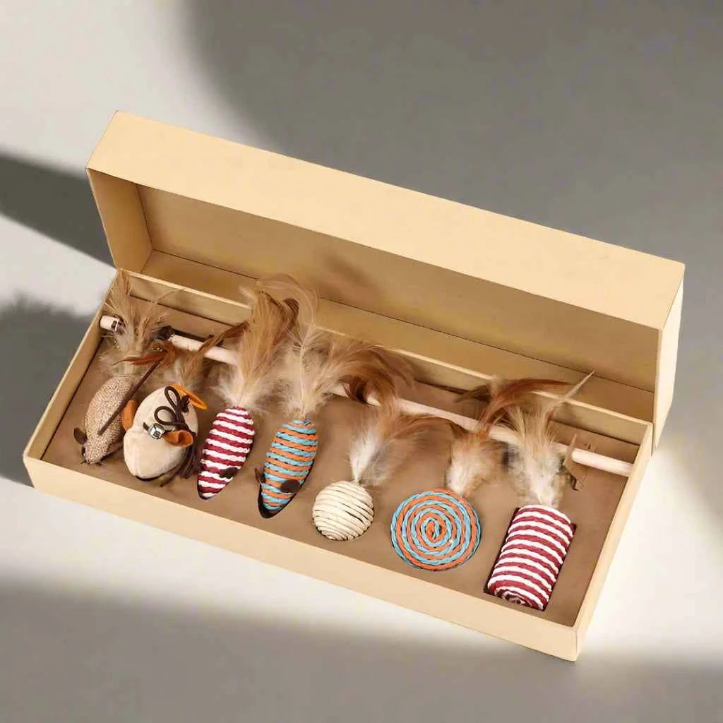 Belinana Cat Toy Set with Feather Mouse for Play