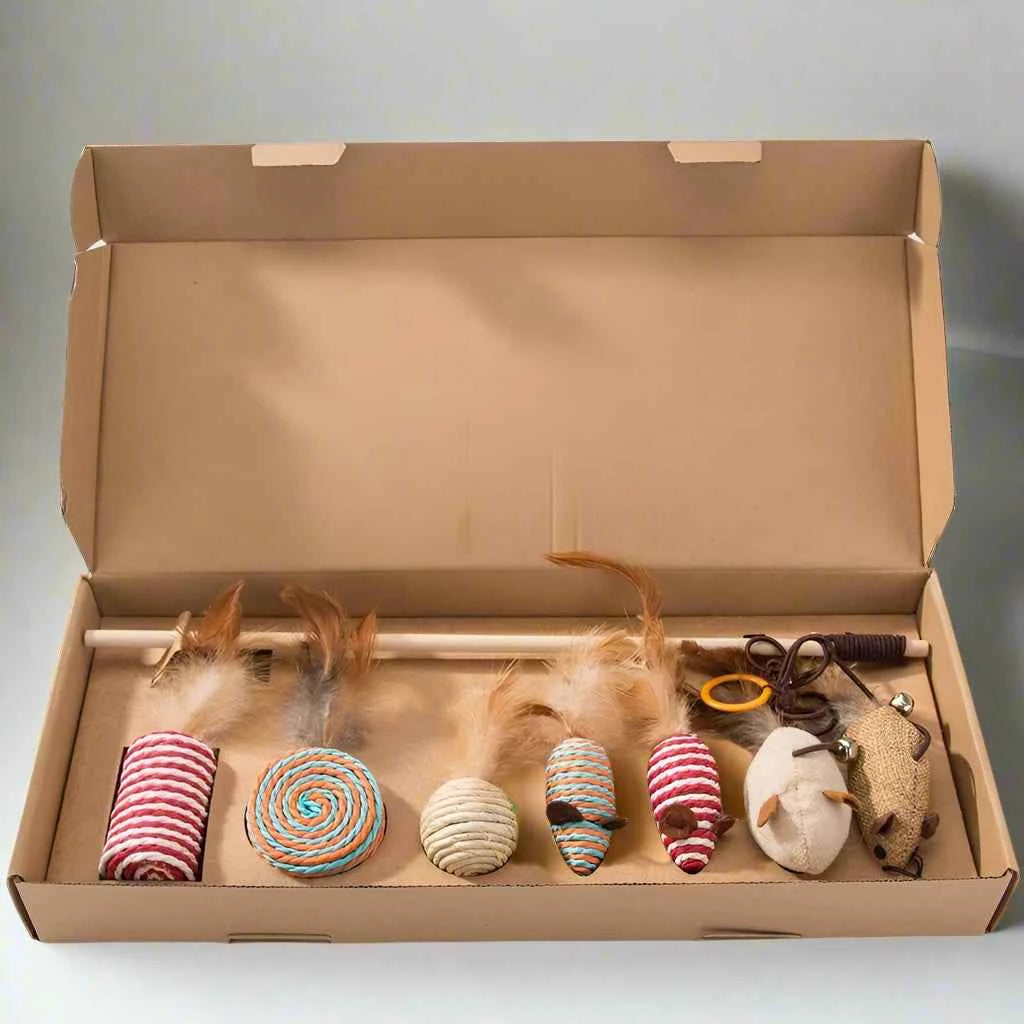Belinana Cat Toy Set with Feather Mouse for Play