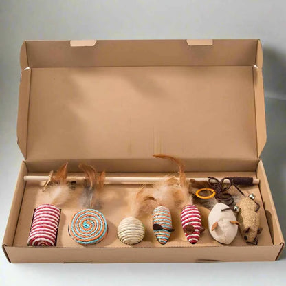 Belinana Cat Toy Set with Feather Mouse for Play