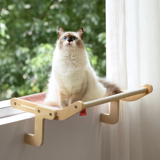 Belinana cat window perch with cotton canvas and wooden frame mounted on a window sill with a fluffy cat sitting on it