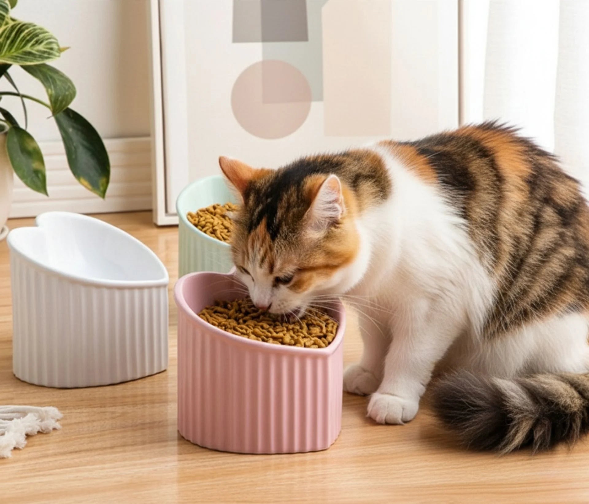 Ceramic pet bowl inclined mouth in pink, white, and green for cats, designed for easy feeding