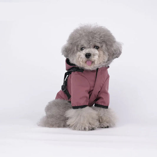 Small fluffy dog wearing Belinana dog rain coat waterproof in mauve color sitting on white background