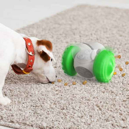 Belinana Interactive Pet Slow Feeder Toy for Dogs & Cats