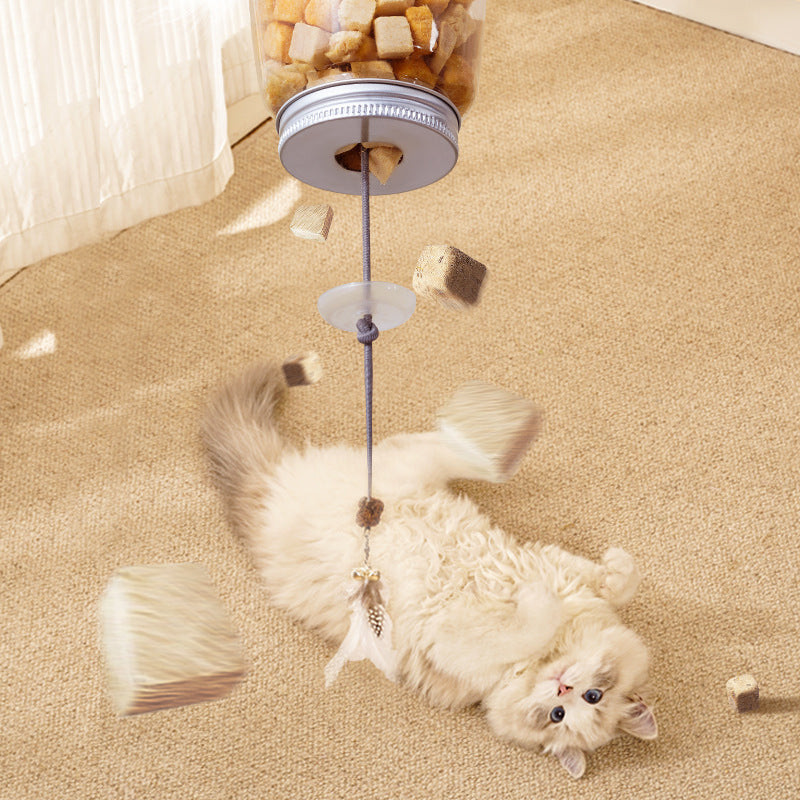 Belinana pet self-feeding toy for cats with hanging jar and playful cat on carpet