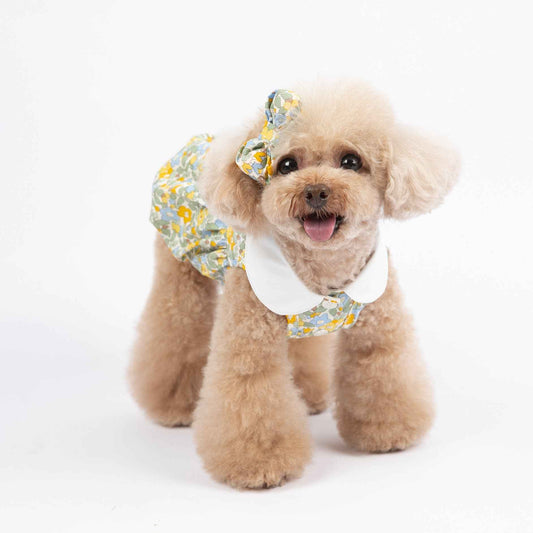 Belinana lightweight floral dog outfit Peter Pan Collar