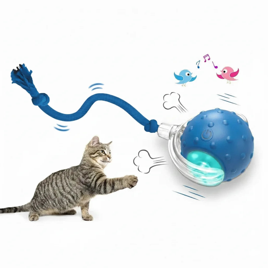 Belinana self-rolling cat ball for indoor cats with interactive features to keep pets entertained