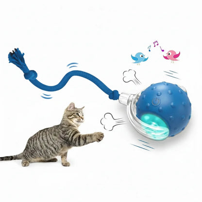 Belinana self-rolling cat ball for indoor cats with interactive features to keep pets entertained