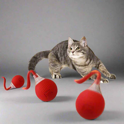 Belinana Self-Rolling Cat Ball for Indoor Cats Toy