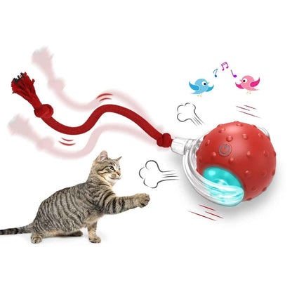 Belinana self-rolling cat ball for indoor cats with playful sounds and vibrant colors