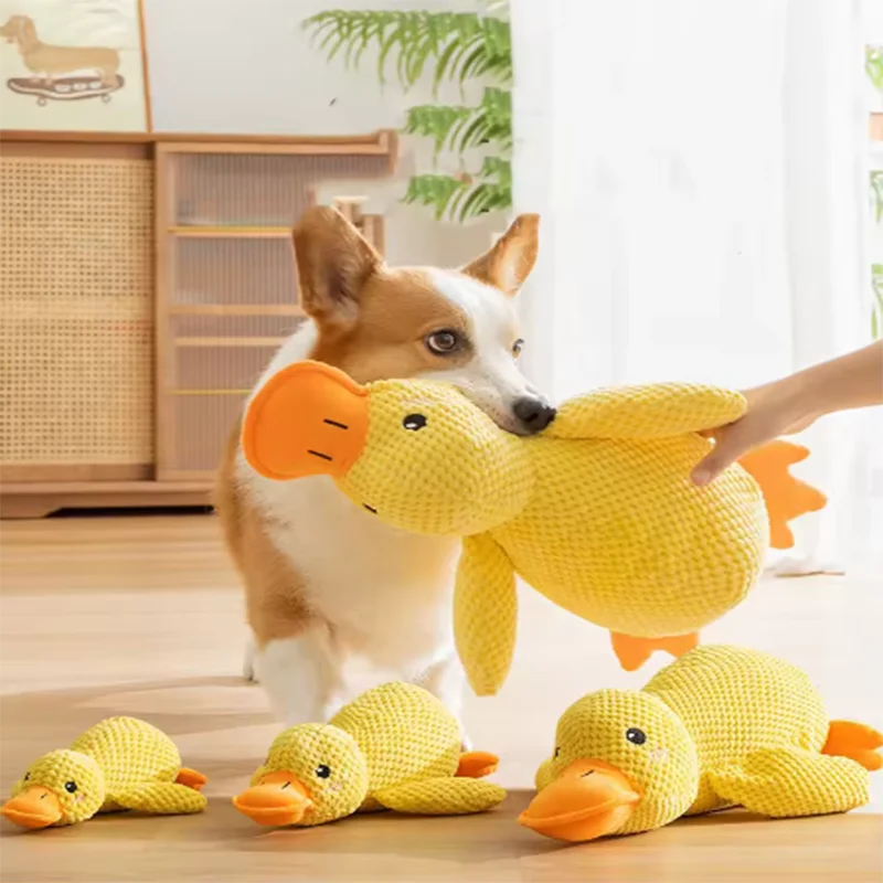 Belinana squeaky duck chew toy for puppies shown with a dog playing indoors