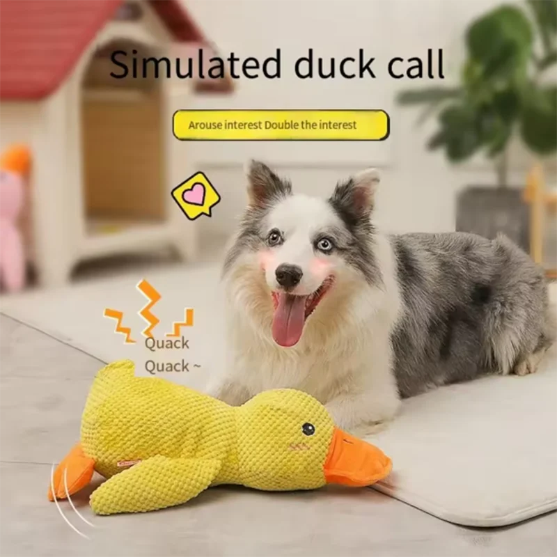 Belinana squeaky duck chew toy for puppies with simulated duck call next to happy dog